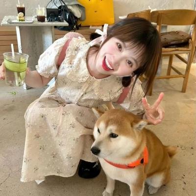 悬疑推理